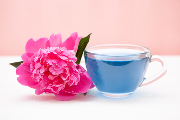 Anchan blue tea or butterfly pea tea with peony flower, beautiful card with still life	