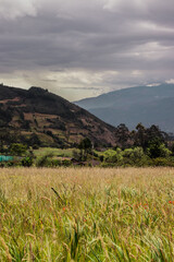 Paisaje de campo abierto en día nublado, Ecuador