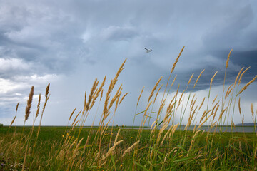 Floatplane and Storm Clouds. A floatplane flies into storm clouds and rain over the Fraser River and the Vancouver Airport.

