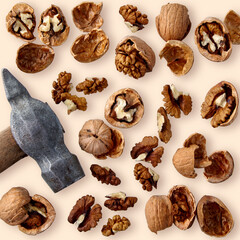 Chopped walnuts and hammer on Set Sail Champagne background