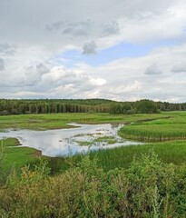 River floodplain view. Russian nature. Perm region.