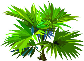 Beautiful flowers, plants, economic plants suitable for decorating buildings or giving as gifts.