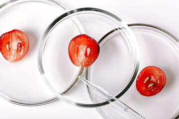 Abstract cosmetic laboratory. Grapes on petri dishes on a white background.