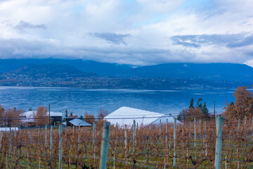 Fototapeta premium カナダ、ブリティッシュコロンビア州、ケロウナの観光名所を旅行する風景 Scenes from a trip to the sights of Kelowna, British Columbia, Canada 