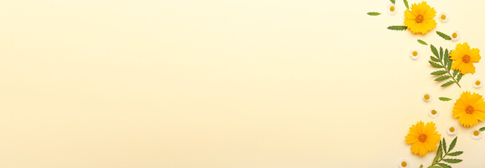 Beautiful flower composition on color background with space for text