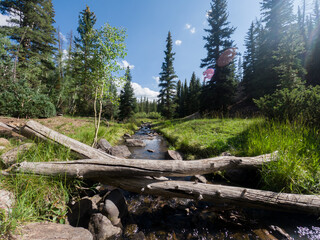 Mountain Stream