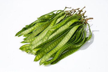 Young fruit of Leucaena leucocepphala on white background.