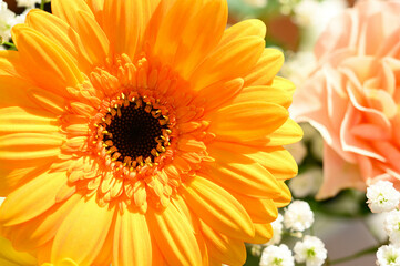 Close-up of a yellow orange flower.