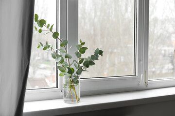 Vase with eucalyptus branches on windowsill