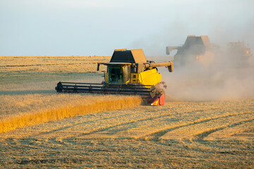 combine harvester harvests wheat in the field. agronomy and grain industry