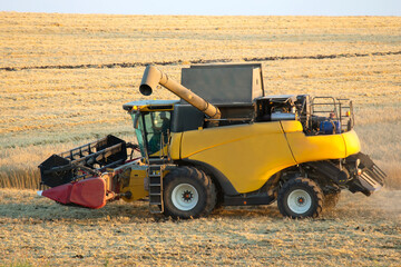 Obraz premium combine harvester harvests wheat in the field. agronomy and grain industry