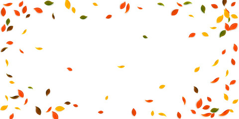 Falling autumn leaves. Red, yellow, green, brown c
