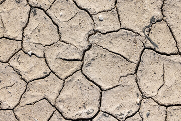 Cracked earth due to drought