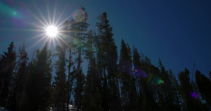 Panning Scenic Shot Of Sunlight Falling On Tall Trees In Forest Against Clear Sky - Vail, Colorado