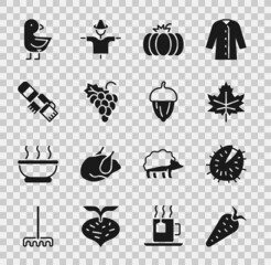 Set Carrot, Chestnut, Leaf or leaves, Pumpkin, Grape fruit, Winter scarf, Little chick and Acorn icon. Vector