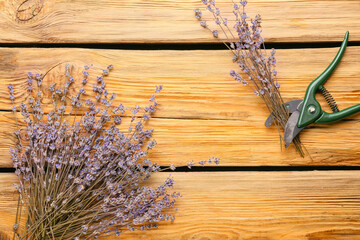 Lavender flowers and secateurs on wooden background