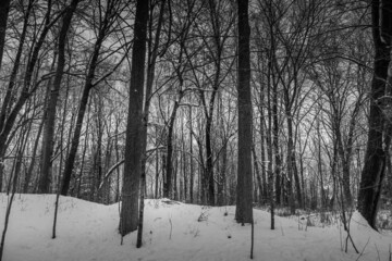 Winter wonderland scene and landscape Ontario Canada