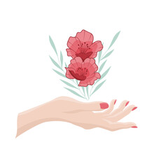 Kobieca delikatna dłoń trzymająca kwiaty. Czerwony bukiet - peonie, zielone gałązki i smukła dłoń. Elementy do wykorzystania na kartki z życzeniami, walentynki, spa, kosmetyki naturalne, eco produkty.