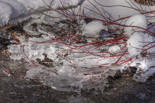 Beautiful frozon crystal icy river