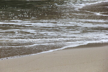 穏やかな波が打ち寄せる砂浜の風景