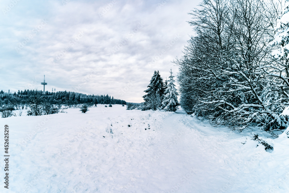 Wall mural Beautiful landsape scene with a lot of snow