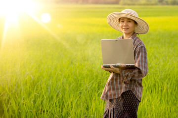 Women holding laptop and checking rice field in organic farm of agriculture 