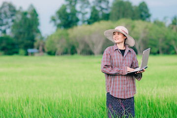Women holding laptop and checking rice field in organic farm of agriculture 