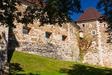 Fototapeta premium スロベニア リュブリャナのリュブリャナ城