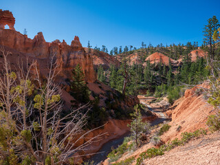 river in the red rock canyons  Bryce National park