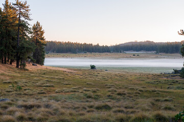 foggy morning in the mountains 