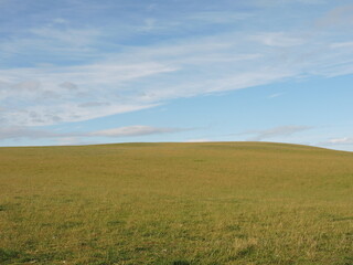 field and sky