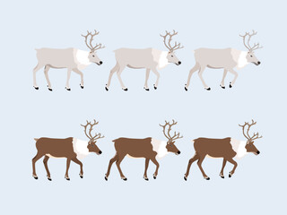 set of Reindeer
