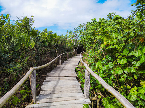 Trilha para a vila velha, as dunas e a praia. Aldeia de Ita&uacute;nas no norte do estado do Esp&iacute;rito Santo. Litoral do Brasil pr&oacute;ximo &agrave; Bahia.