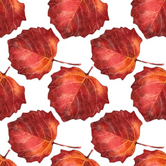 Obraz premium Autumn seamless pattern watercolor hand-drawn red, orange leaf isolated on white. Forest nature plant foliage leaves. Creative background for halloween, card, wallpaper, wrapping, sketchbook