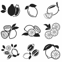 Lemon, lime icons set, vector set, illustration, black and white, outline