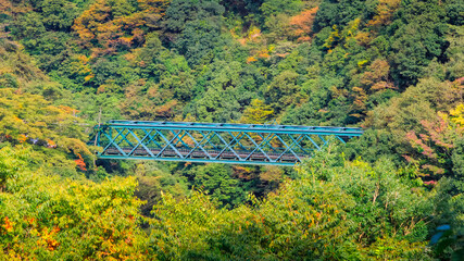 Fototapeta premium Steel railway bridge and beautiful mountain landscape in autumn time at Hakone , Japan.