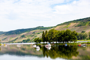 rhine river