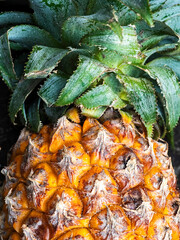 Fresh pinepple at the traditonal market 