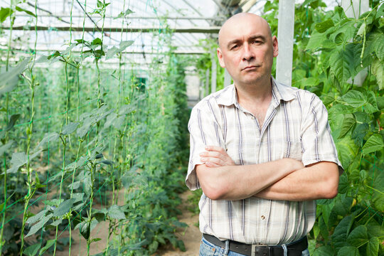 Successful male farmer standing in glasshouse on background of green plants