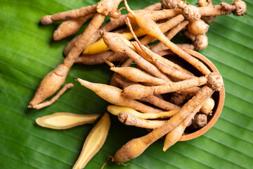 Kaempfer root for food and Thai or Chinese herbal medicine nature - Other names Fingerroot (...