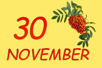Fototapeta premium Rowan branch with red and orange berries and green leaves and date of 30 november on a yellow background.