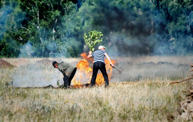 Firefighters extinguish a forest fire in the reserve on a summer day