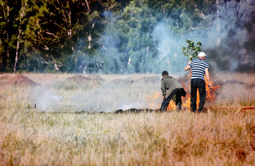 Fire, burn, forest fire, fire, smoke, firefighter, natural disaster, extinguish fire, heat, danger,...