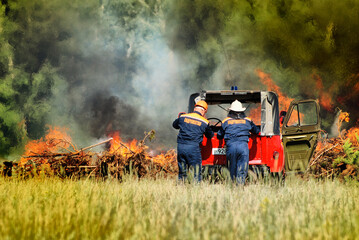  Firefighters extinguish a forest fire in the reserve on a summer day