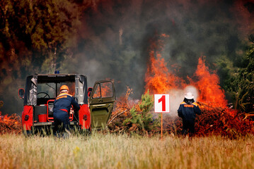 Firefighters extinguish a forest fire in the reserve on a summer day