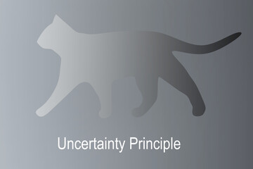 Uncertainty Principle concept