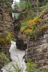 The Rushing Waters of Athabasca Falls