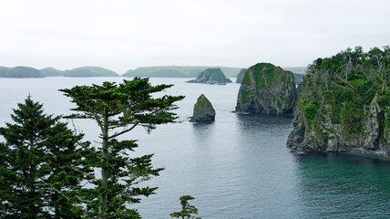 Green Cliffs and bay of Kuril islands. Shikotan.