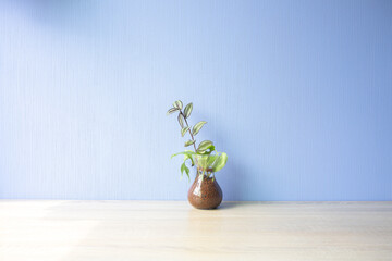 かわいいブルーの壁紙と白い家具のオブジェクト