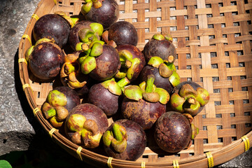 fresh mangosteen on bamboo basketry tray